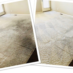Before and After Colorado Springs Carpet Cleaning Project 