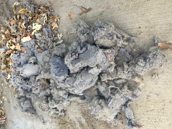 Debris from Dryer Vent Cleaning In Colorado Springs